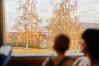 Bild som visar hur två resenärer på ett tåg tittar ut på höstlandskapet utanför fönstret.